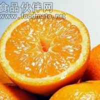 胡柚粉 胡柚噴霧干燥粉飲料食品添加