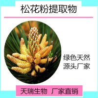 松花粉 人工采集純粉 藥食同源