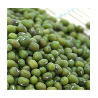綠豆粉 綠豆噴霧干燥粉綠豆粉速溶粉