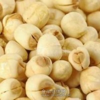 蓮子粉 蓮子噴霧干燥粉蓮子速溶粉