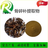 骨碎補提取物 骨碎補濃縮粉天瑞生物