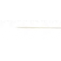 Thermo Scientific自動進樣針0029801