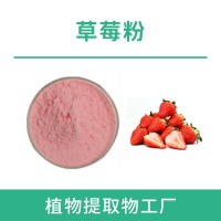 草莓粉 草莓提取物 支持定制 水溶性粉末 多種規格