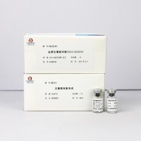 金黃色葡萄球菌CMCC(B)26003（定量）