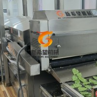 桑葉上漿機翠葉上漿油炸流水線