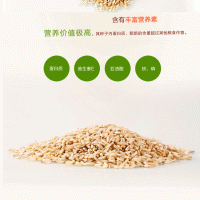 燕麥提取物|燕麥纖維在食品領域的應用