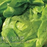 椰菜提取物 蓮花白提取物