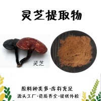 靈芝提取物  靈芝多糖  靈芝浸膏