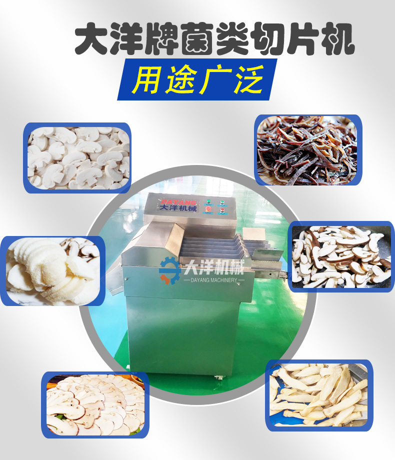 菌類切片2.