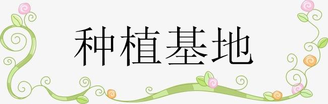 種植基地