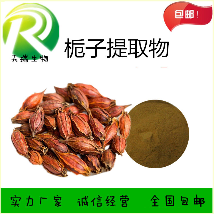 梔子_副本