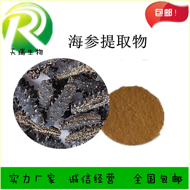 海參1_副本