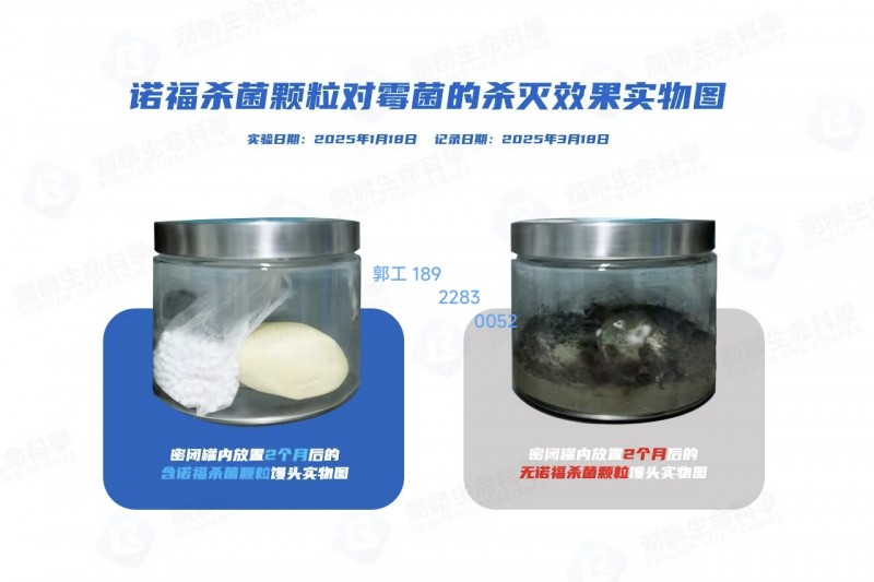 帶手機(jī)號(hào)